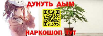 сатива Заволжье