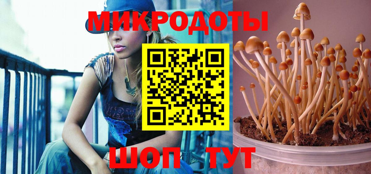 сколько стоит  Галлюциногенные грибы мухоморы  Вход с VPN  Биробиджан 
