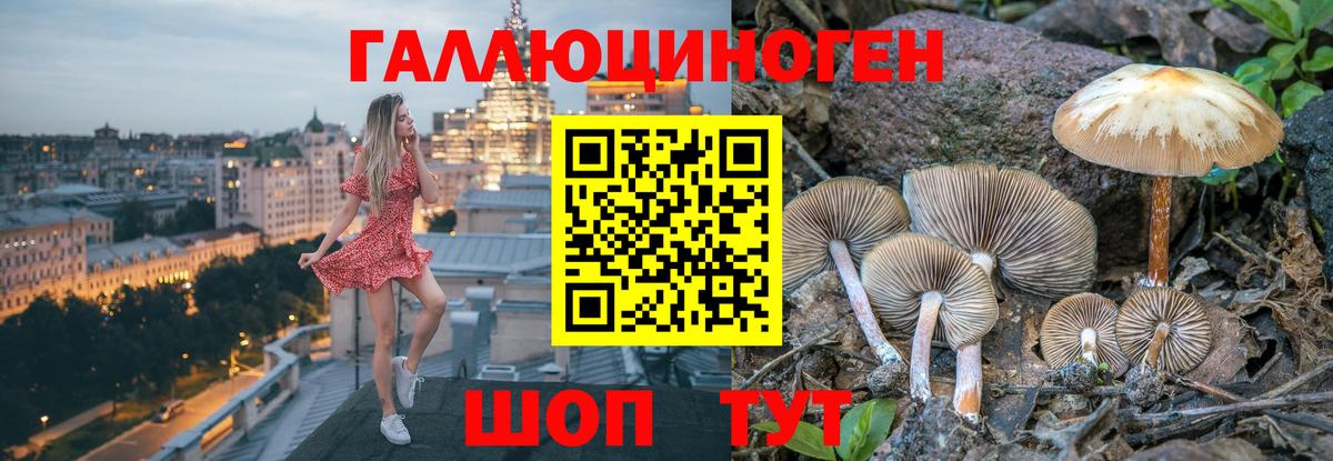 Галлюциногенные грибы MAGIC MUSHROOMS Биробиджан